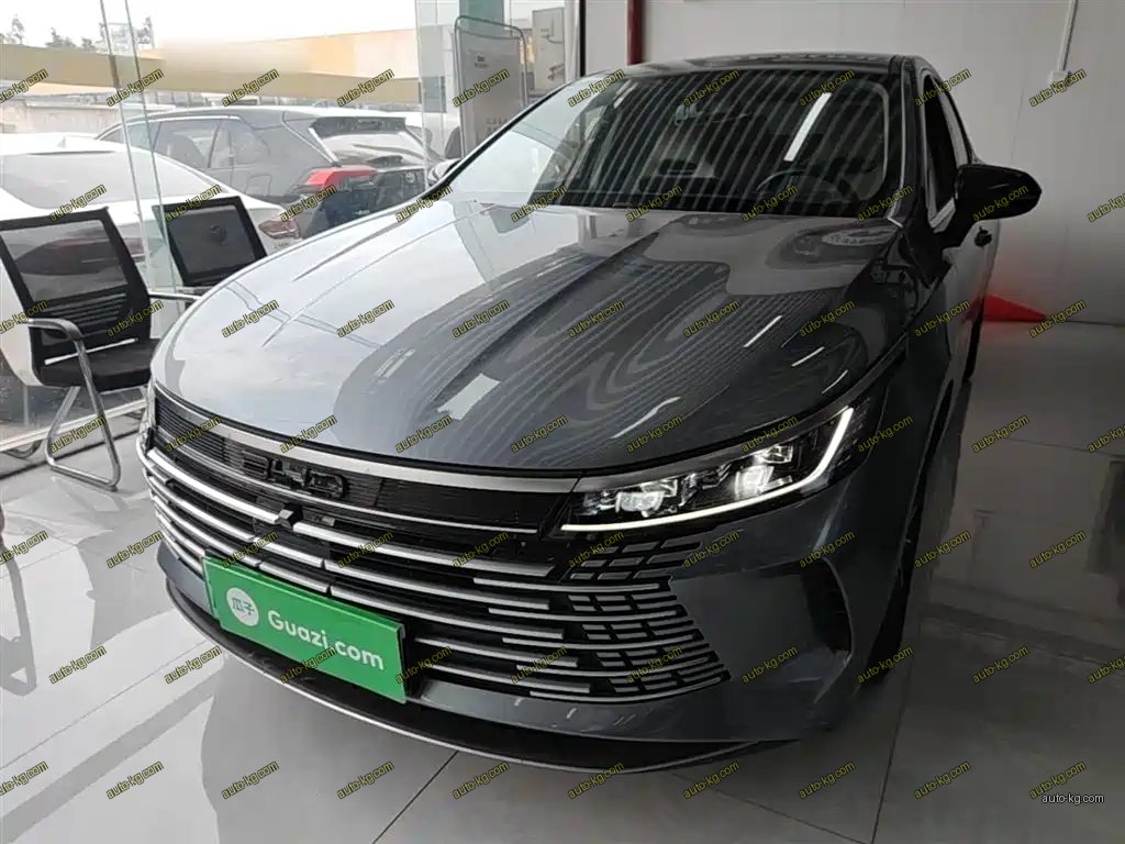 BYD Destroyer 05 2024