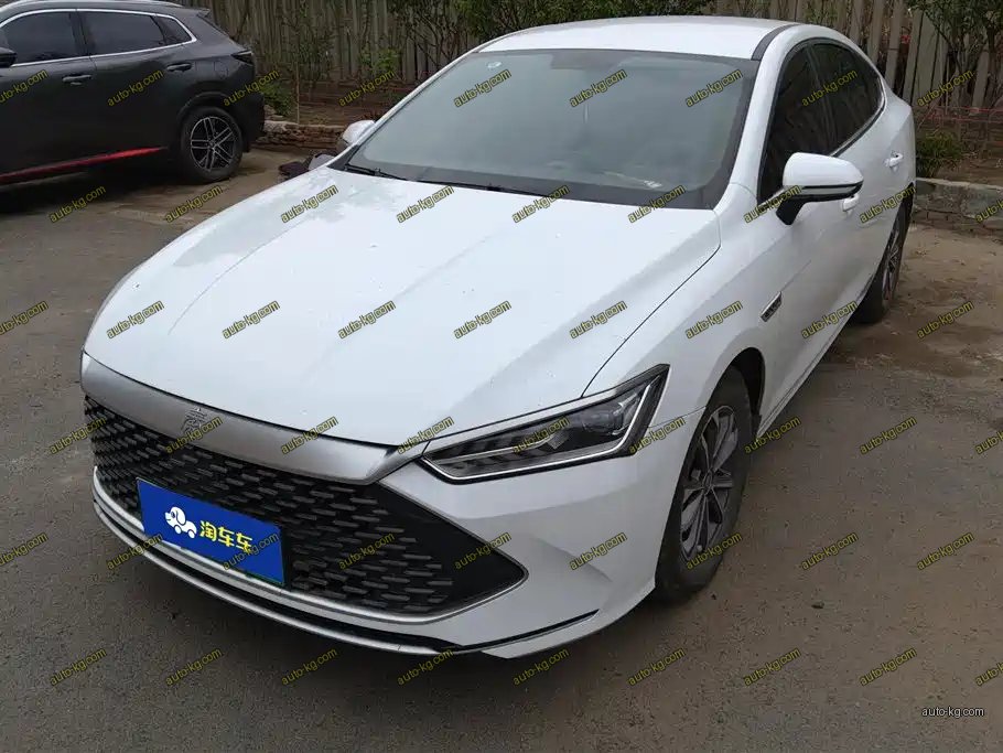 BYD Qin PLUS 2024