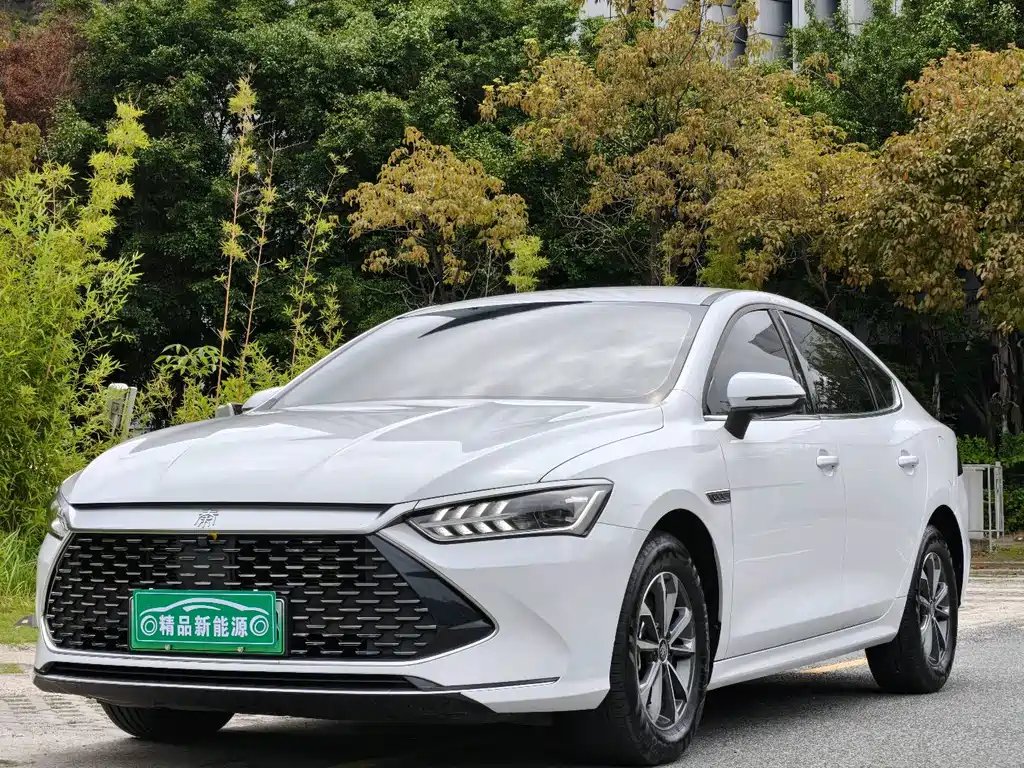 BYD Qin PLUS 2024