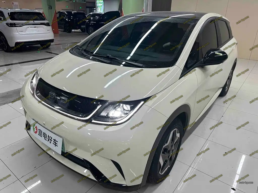 BYD Dolphin 2022