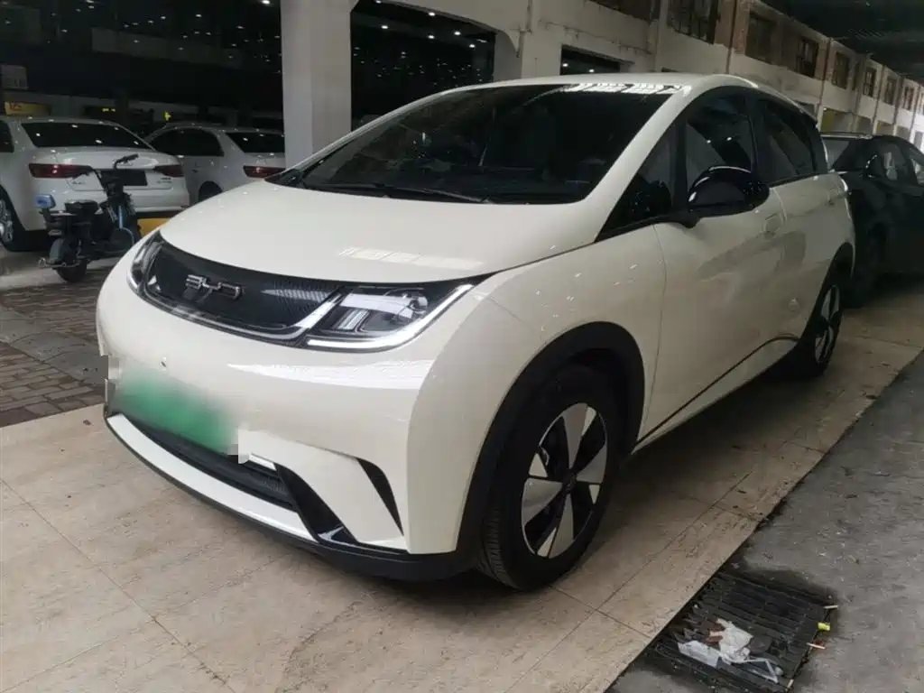 BYD Dolphin 2024
