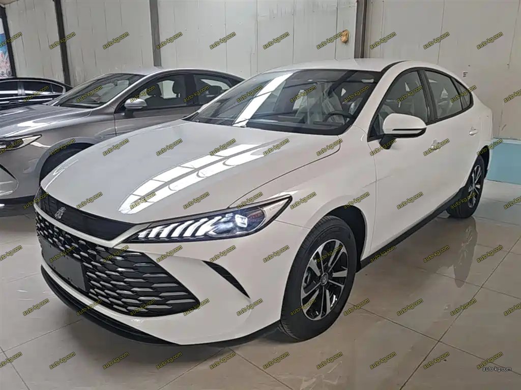 BYD Qin PLUS 2026