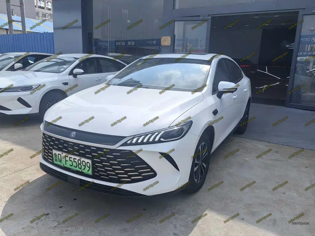 BYD Qin PLUS 2025