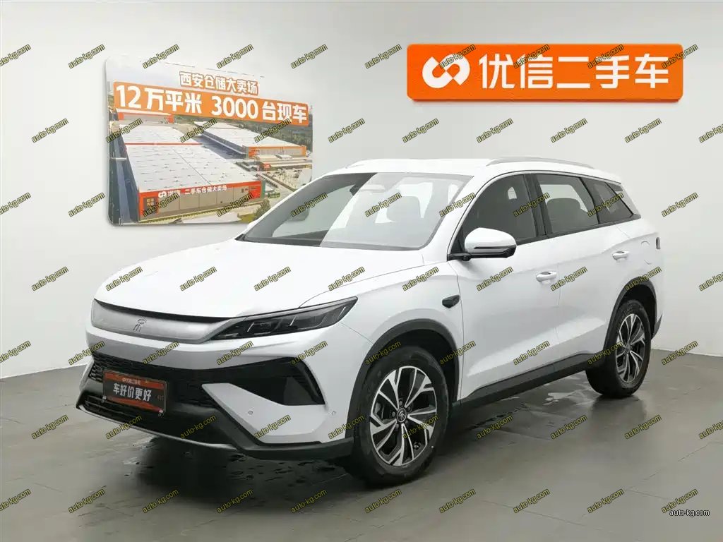 BYD Pro New Energy 2025