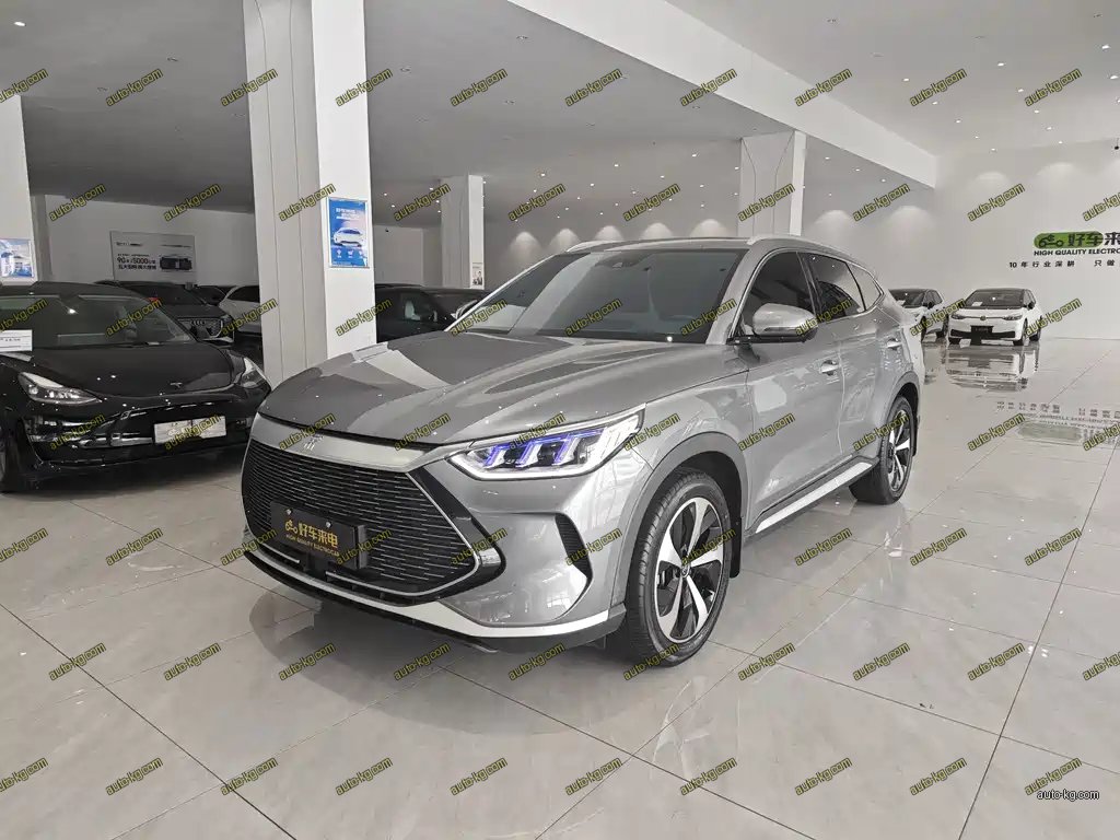 BYD PLUS New Energy 2021