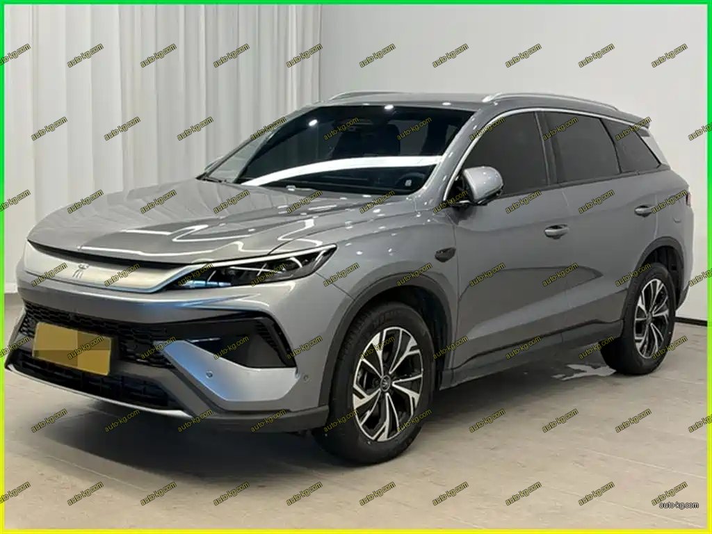 BYD Pro New Energy 2025