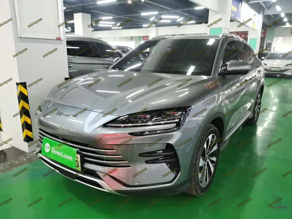 BYD PLUS New Energy 2024