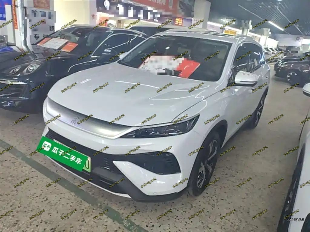 BYD Pro New Energy 2025