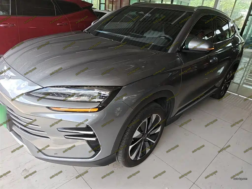 BYD PLUS New Energy 2024