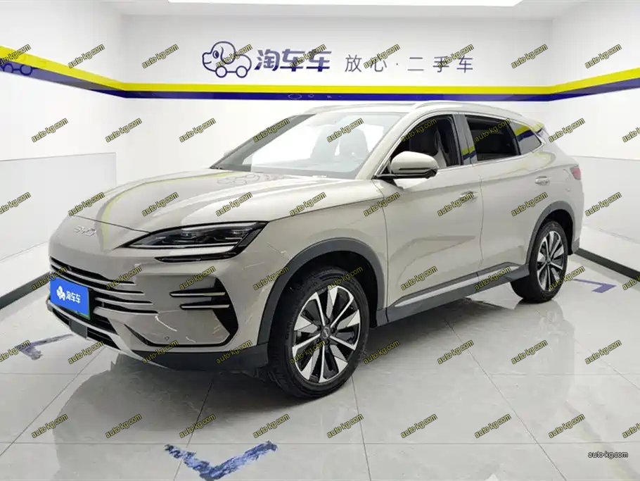BYD PLUS New Energy 2025