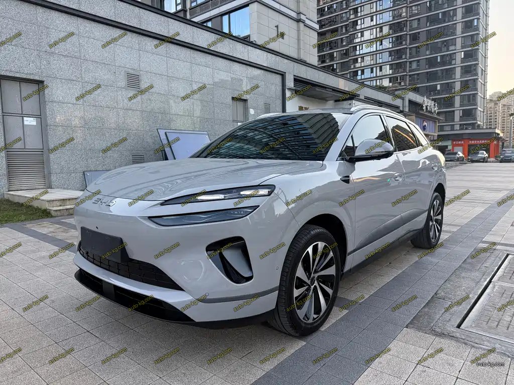 BYD 海狮06 2025