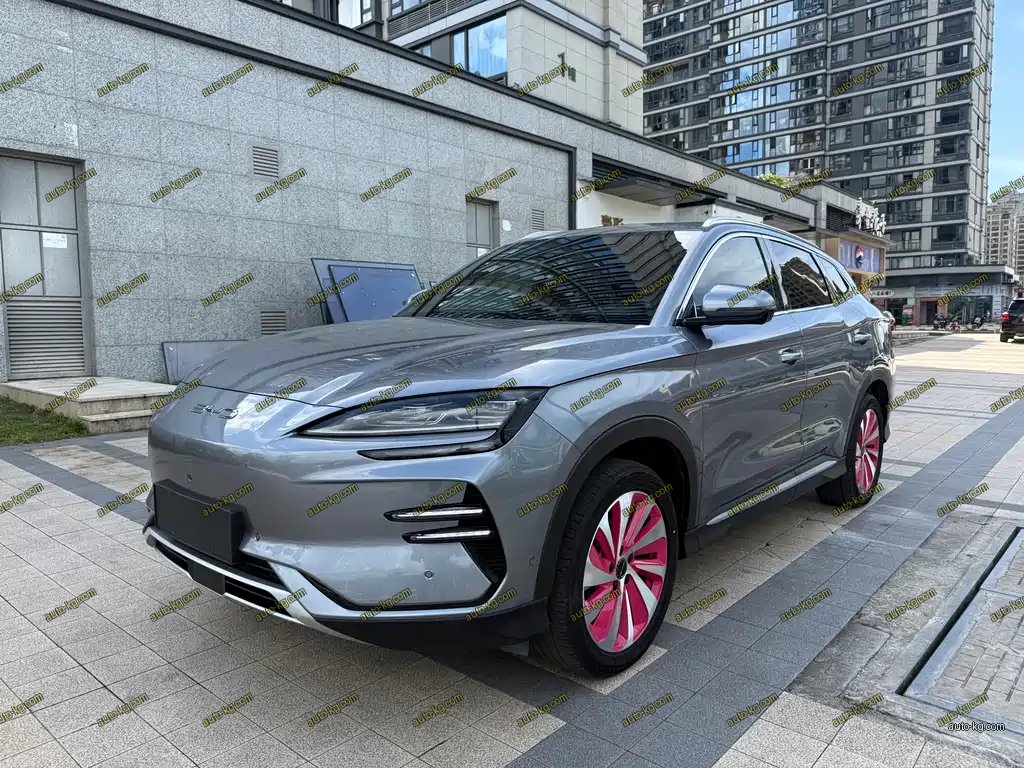 BYD PLUS New Energy 2024