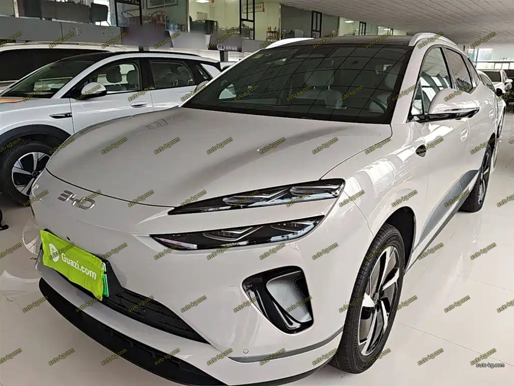 BYD 海狮06 2025