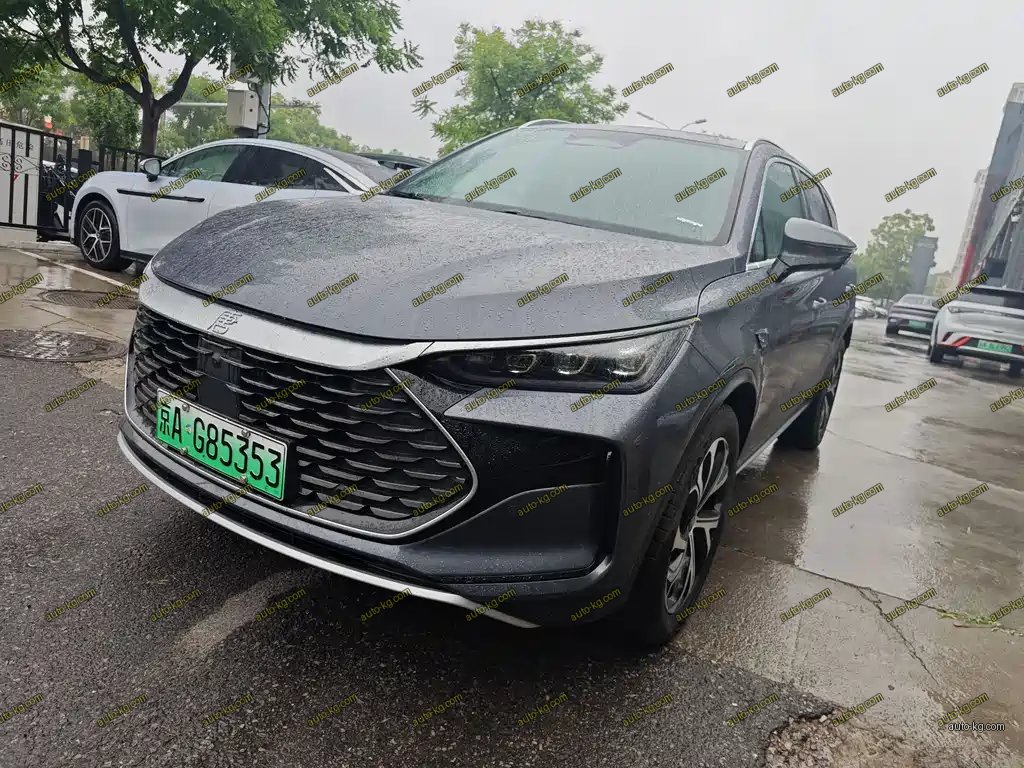 BYD Tang New Energy 2025