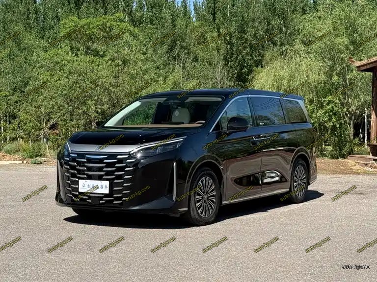 BYD Xia 2025