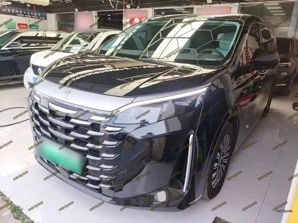 BYD Xia 2025