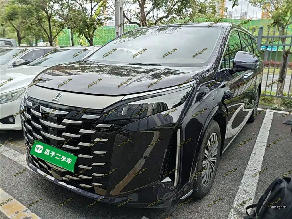 BYD Xia 2025
