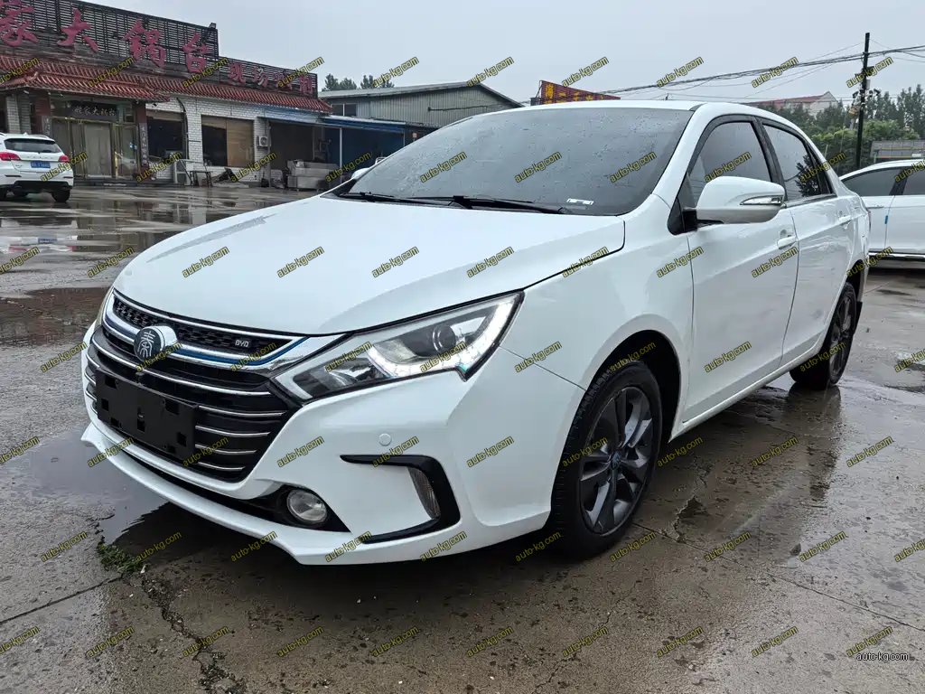 BYD Qin NEV 2019