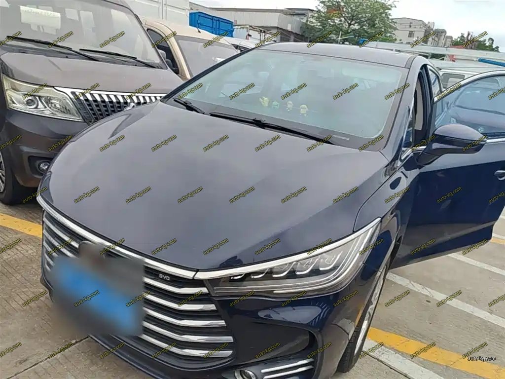 BYD MAX 2019