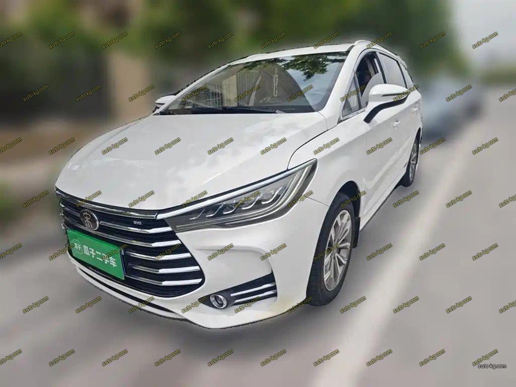 BYD MAX 2019