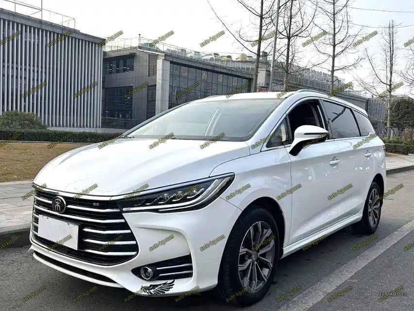 BYD MAX 2020