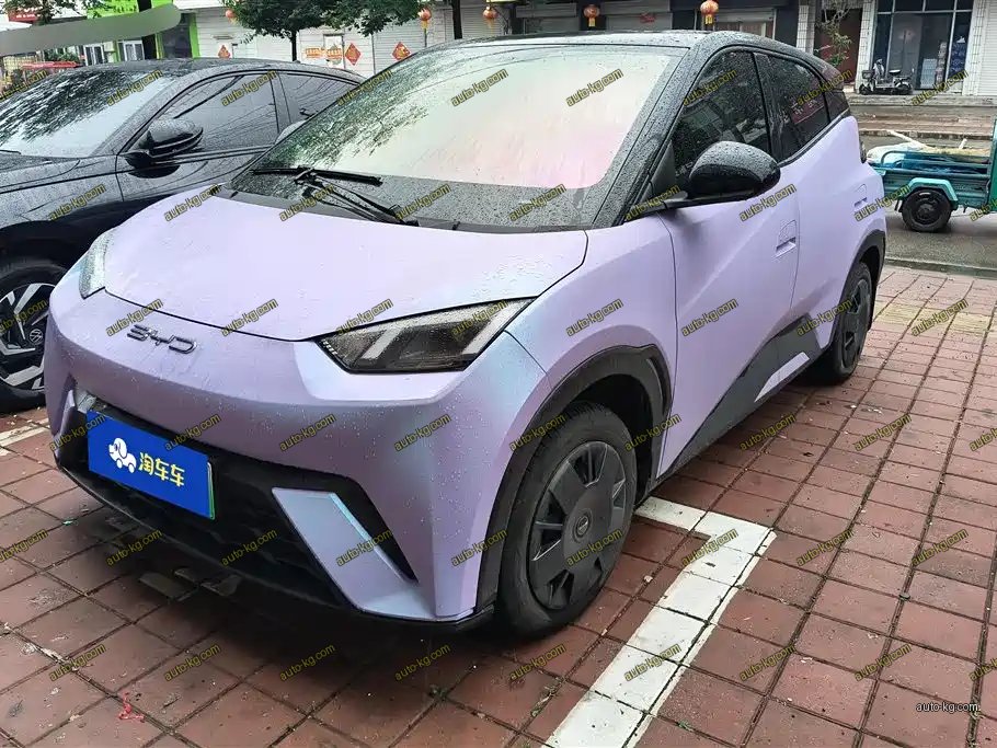 BYD Seagull 2024