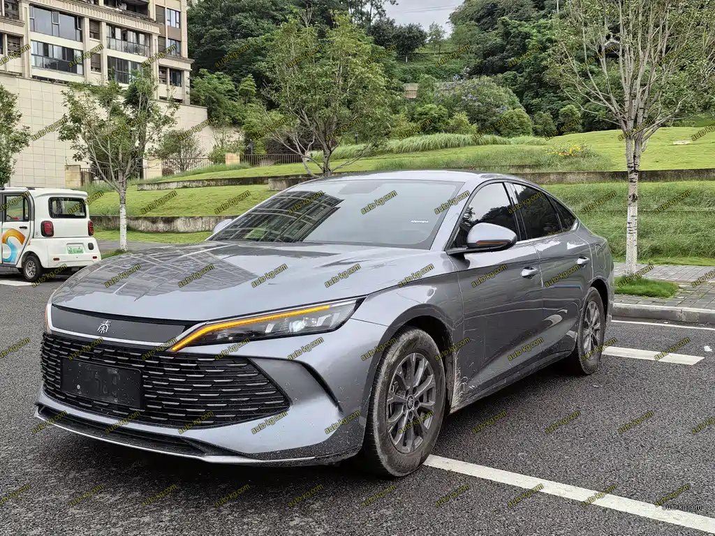 BYD Qin L 2024