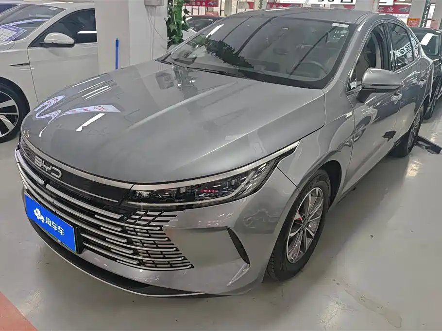 BYD Destroyer 05 2024