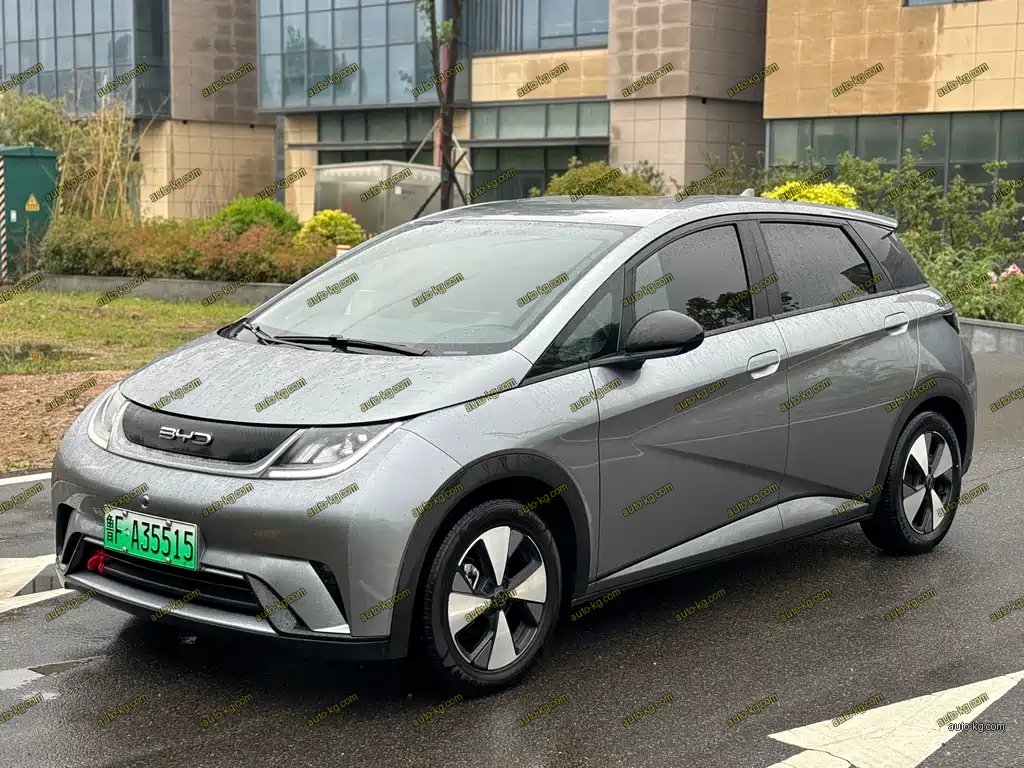 BYD Dolphin 2024