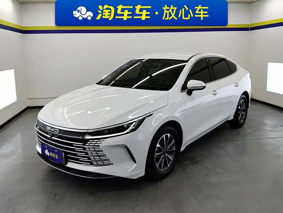 BYD Destroyer 05 2024