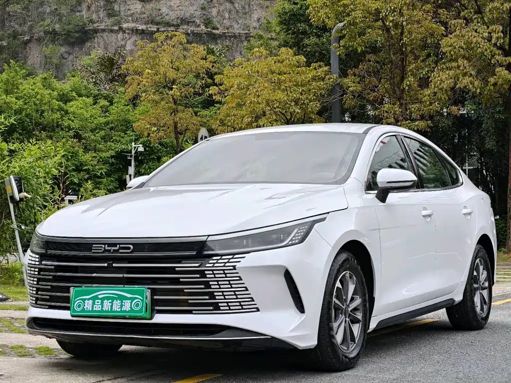 BYD Destroyer 05 2024