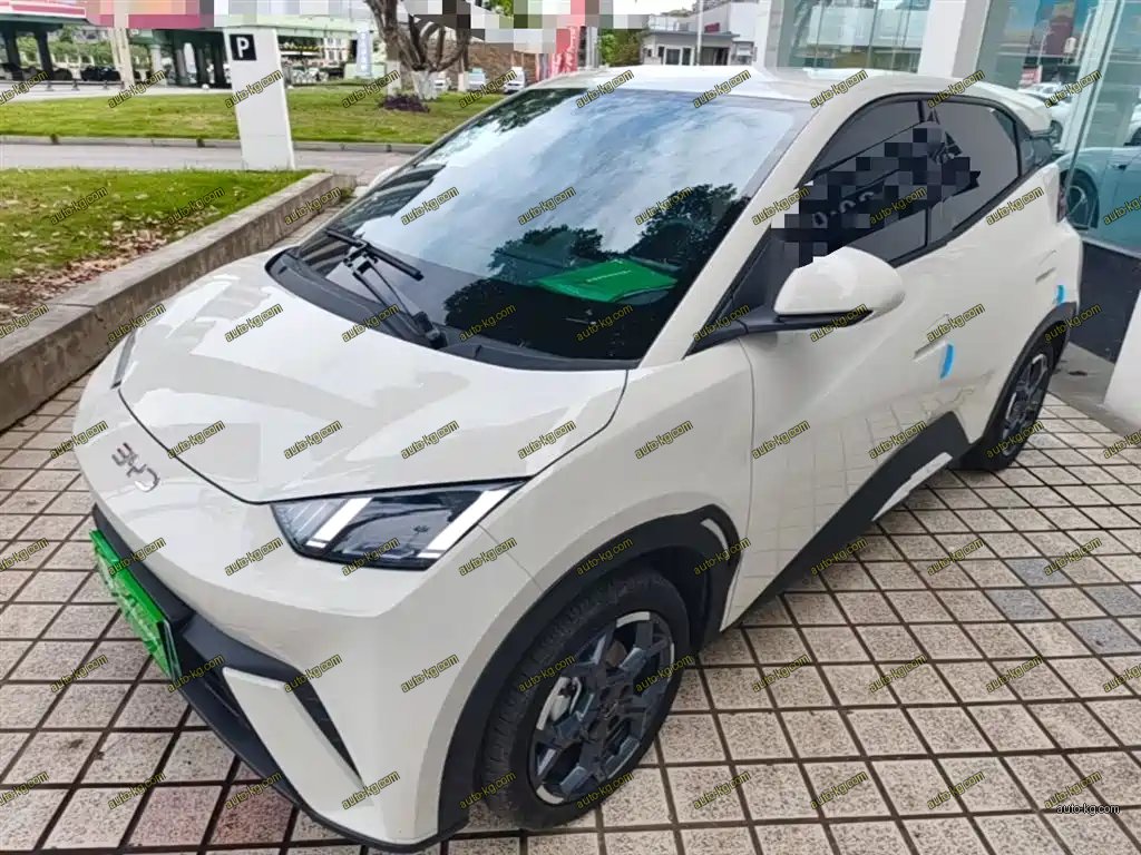 BYD Seagull 2025