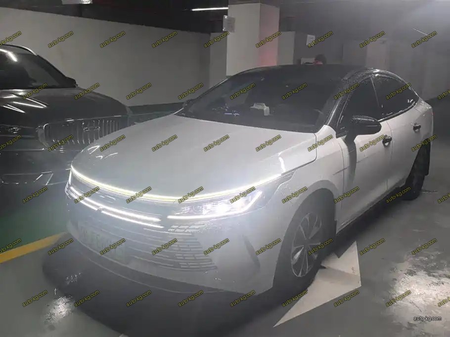 BYD Destroyer 05 2025