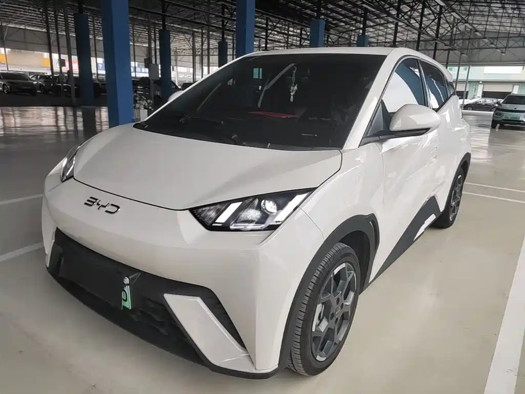 BYD Seagull 2024
