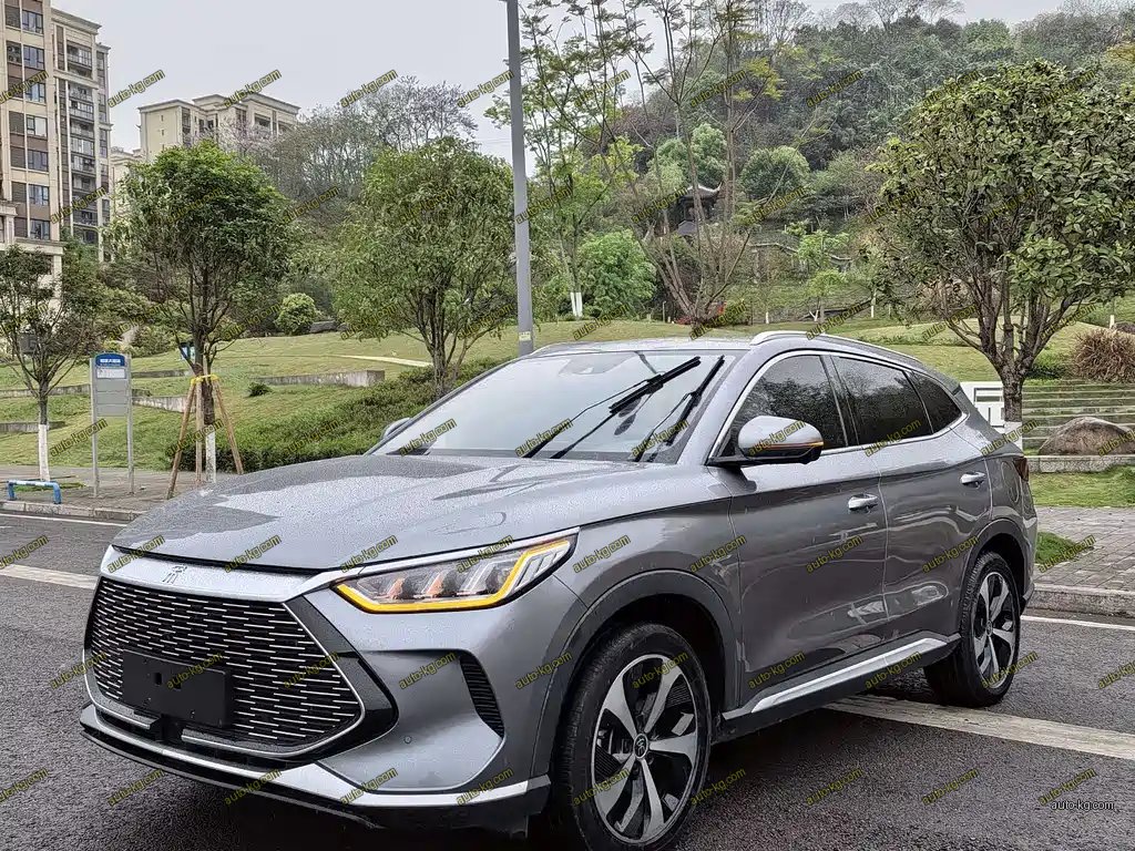 BYD PLUS New Energy 2021