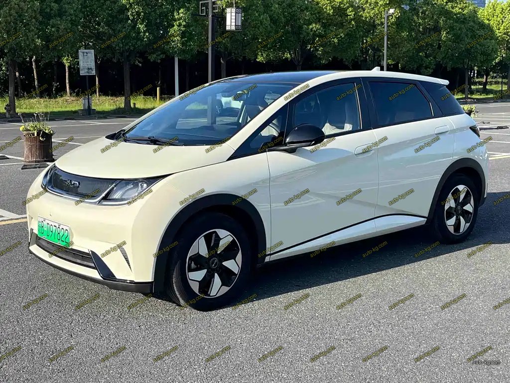 BYD Dolphin 2024