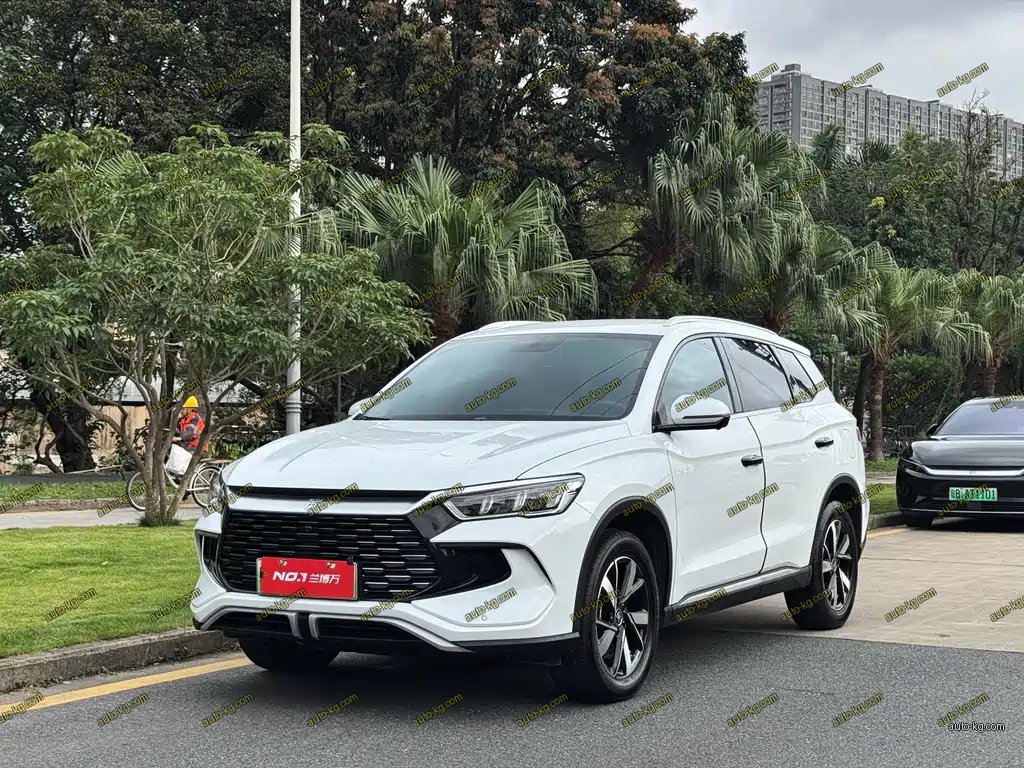 BYD Pro New Energy 2024