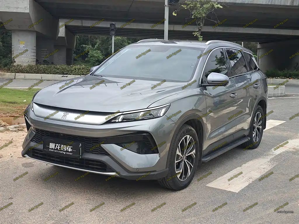 BYD Pro New Energy 2025